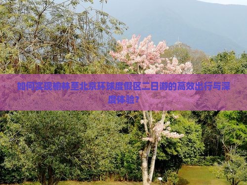 如何实现榆林至北京环球度假区二日游的高效出行与深度体验？