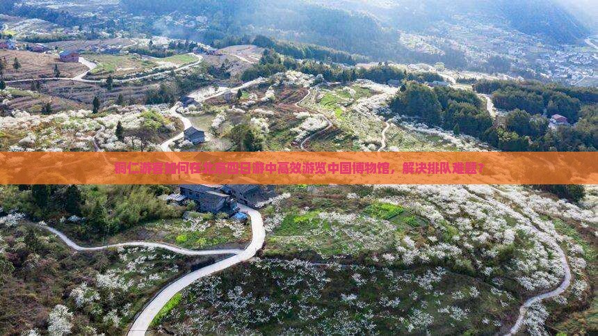 铜仁游客如何在北京四日游中高效游览中国博物馆，解决排队难题？