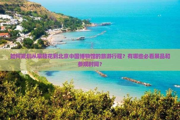 如何规划从攀枝花到北京中国博物馆的旅游行程？有哪些必看展品和参观时间？