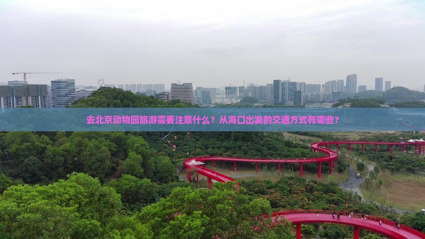 去北京动物园旅游需要注意什么？从海口出发的交通方式有哪些？