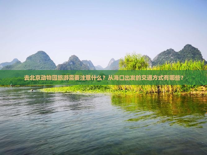 去北京动物园旅游需要注意什么？从海口出发的交通方式有哪些？