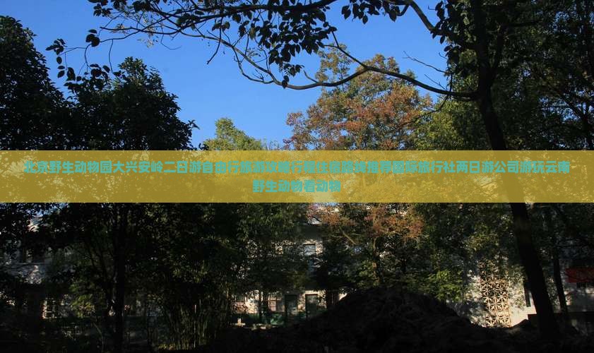 北京野生动物园大兴安岭二日游自由行旅游攻略行程住宿路线推荐国际旅行社两日游公司游玩云南野生动物看动物