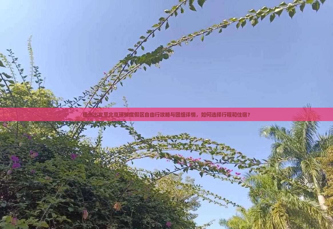 梧州出发至北京环球度假区自由行攻略与团组详情，如何选择行程和住宿？