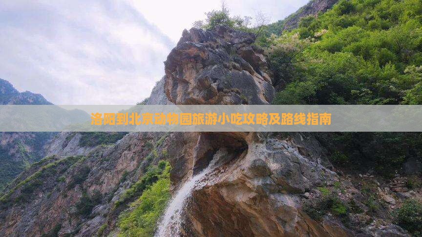 洛阳到北京动物园旅游小吃攻略及路线指南