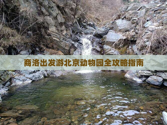 商洛出发游北京动物园全攻略指南