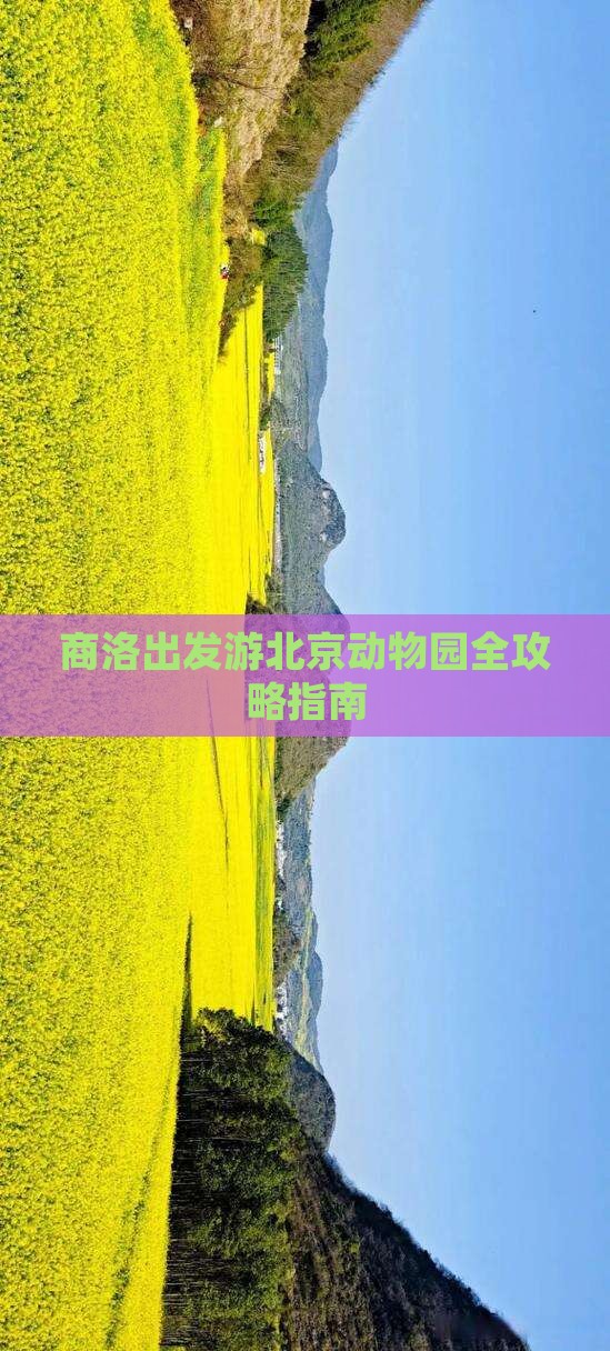 商洛出发游北京动物园全攻略指南