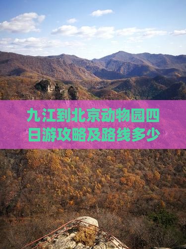 九江到北京动物园四日游攻略及路线多少钱
