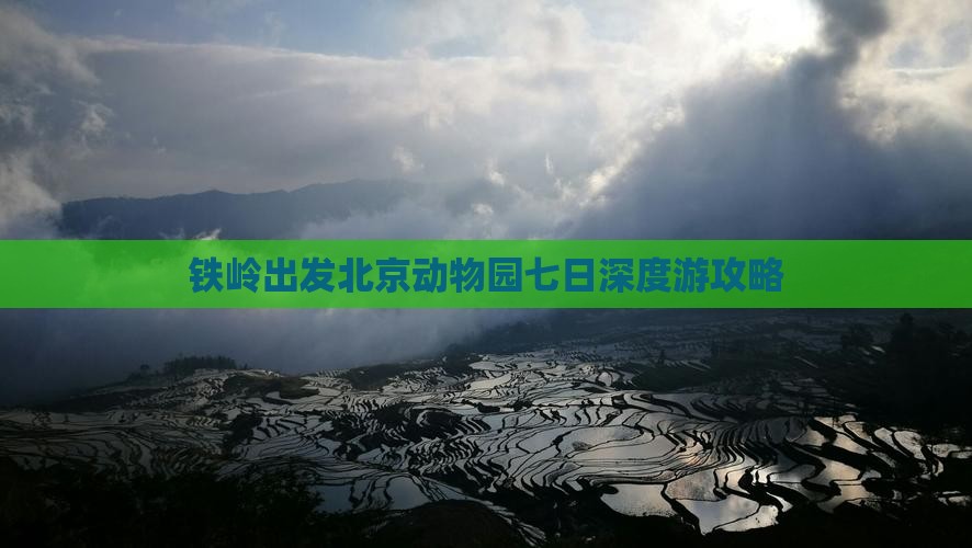 铁岭出发北京动物园七日深度游攻略