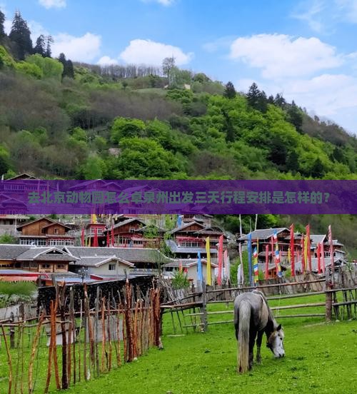 去北京动物园怎么卓泉州出发三天行程安排是怎样的？