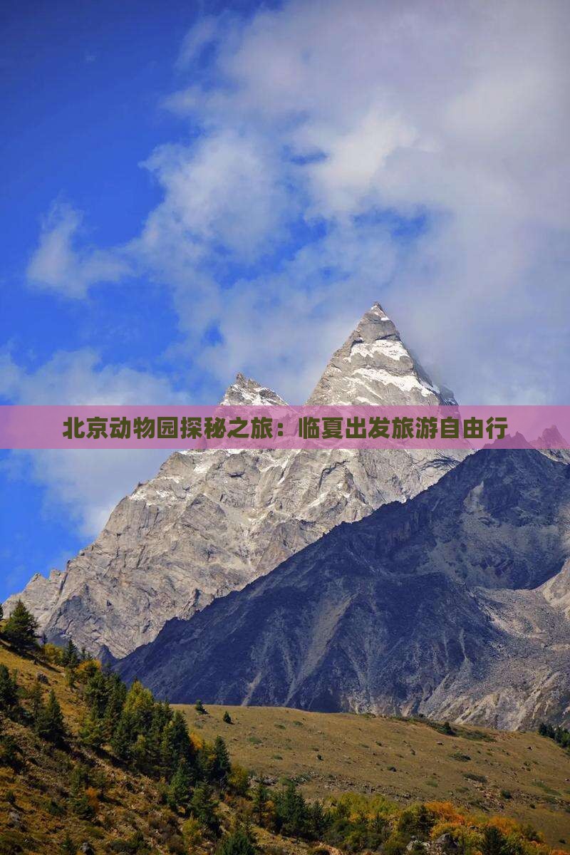 北京动物园探秘之旅：临夏出发旅游自由行
