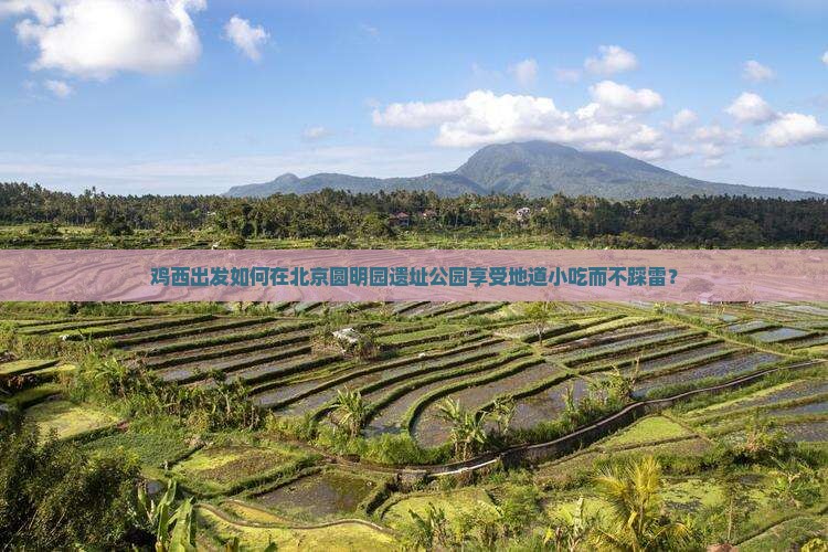 鸡西出发如何在北京圆明园遗址公园享受地道小吃而不踩雷？