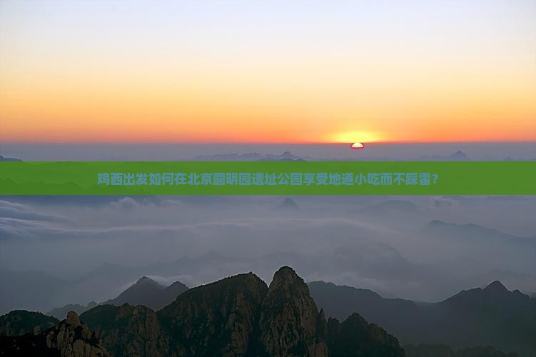 鸡西出发如何在北京圆明园遗址公园享受地道小吃而不踩雷？