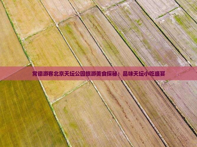 常德游客北京天坛公园旅游美食探秘：品味天坛小吃盛宴