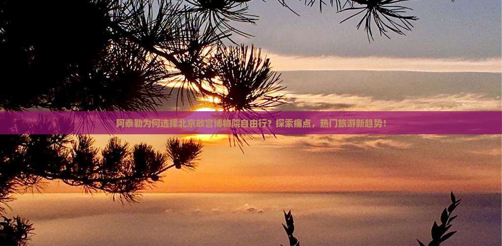 阿泰勒为何选择北京故宫博物院自由行？探索痛点，热门旅游新趋势！