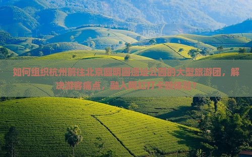 如何组织杭州前往北京圆明园遗址公园的大型旅游团，解决游客痛点，融入网红打卡新体验？