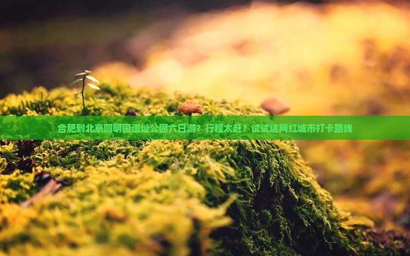 合肥到北京圆明园遗址公园六日游？行程太赶？试试这网红城市打卡路线