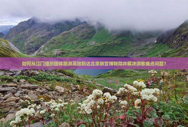 如何从江门组织团体旅游高效到达北京故宫博物院并解决游客痛点问题？
