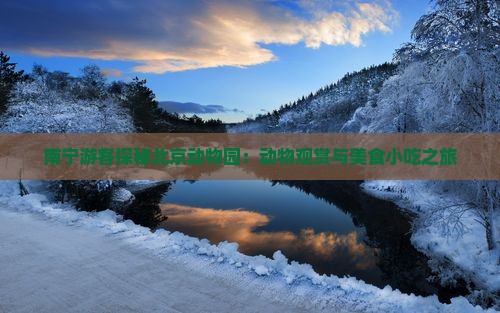 南宁游客探秘北京动物园：动物观赏与美食小吃之旅