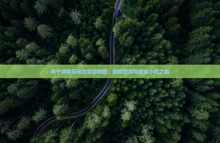 南宁游客探秘北京动物园：动物观赏与美食小吃之旅
