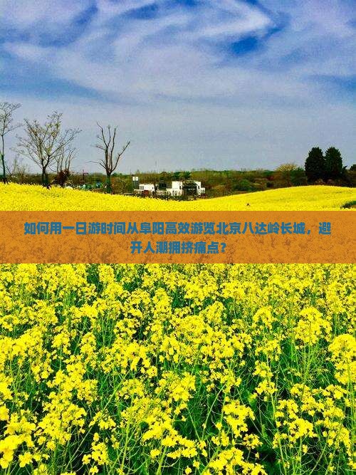 如何用一日游时间从阜阳高效游览北京八达岭长城，避开人潮拥挤痛点？
