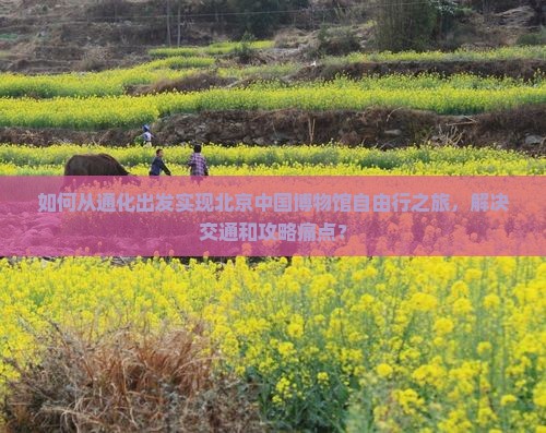 如何从通化出发实现北京中国博物馆自由行之旅，解决交通和攻略痛点？