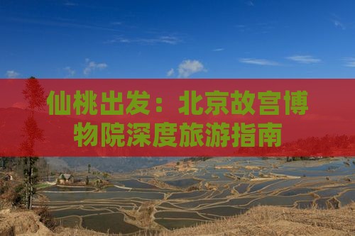 仙桃出发：北京故宫博物院深度旅游指南
