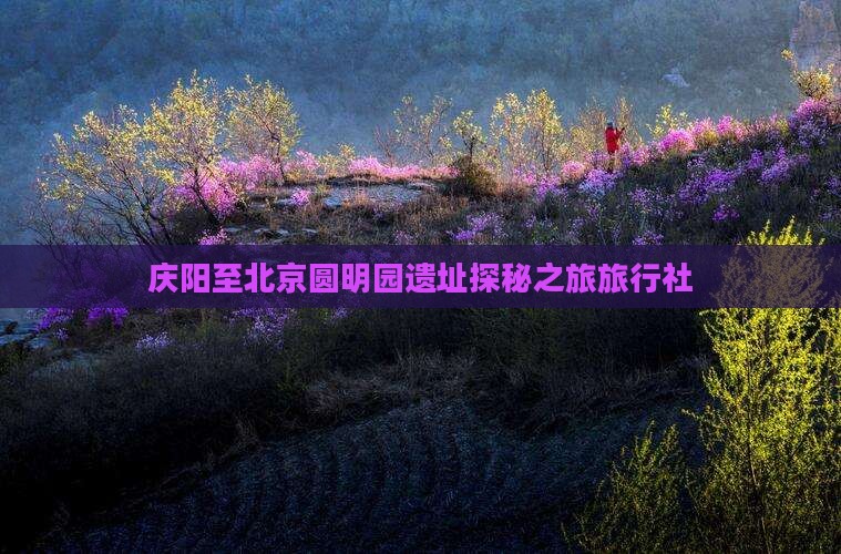 庆阳至北京圆明园遗址探秘之旅旅行社