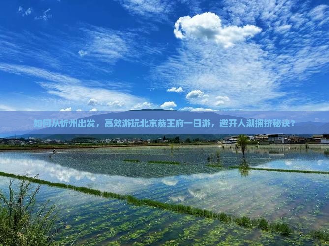 如何从忻州出发，高效游玩北京恭王府一日游，避开人潮拥挤秘诀？