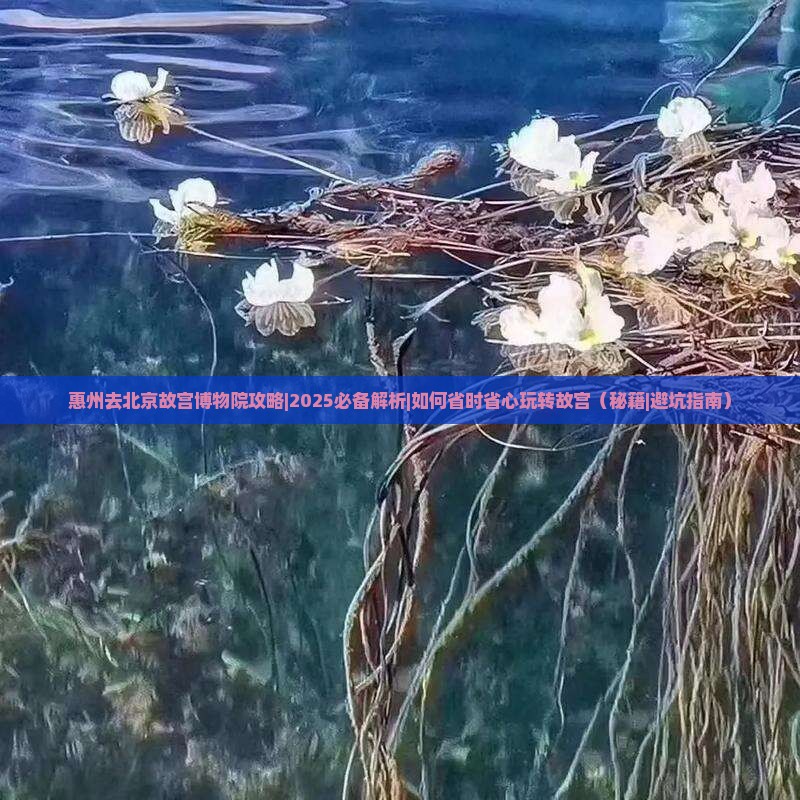 惠州去北京故宫博物院攻略