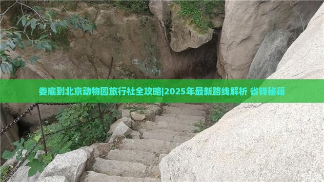 娄底到北京动物园旅行社