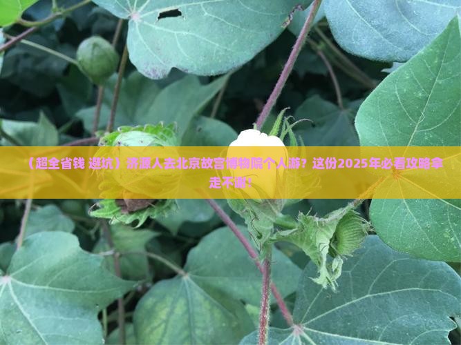 济源到北京故宫博物院个人游