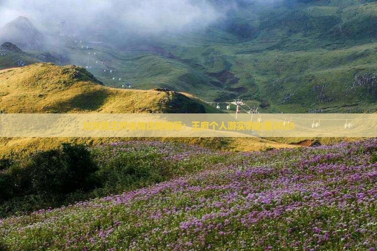 葫芦岛去北京恭王府个人游