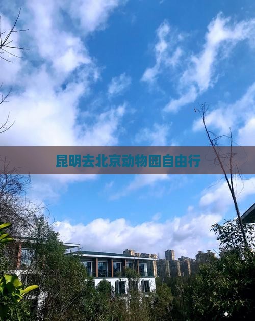 昆明去北京动物园自由行