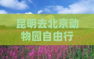 昆明去北京动物园自由行