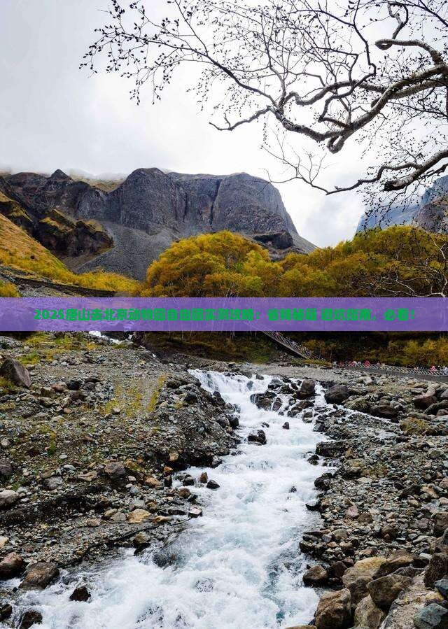 唐山去北京动物园自由团