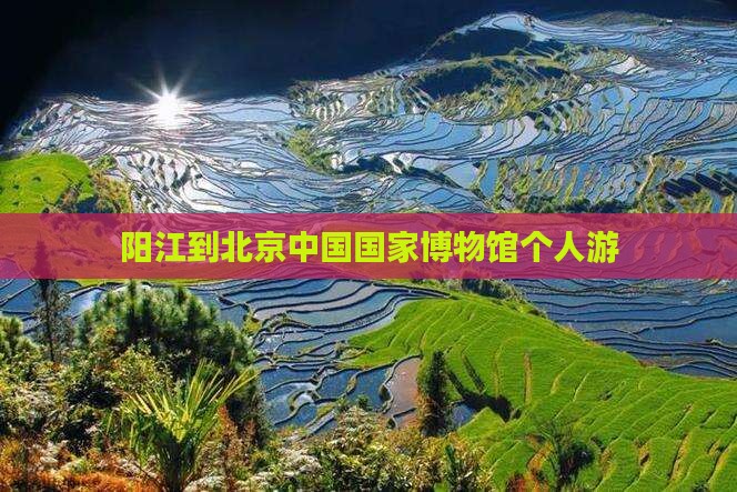 阳江到北京中国国家博物馆个人游