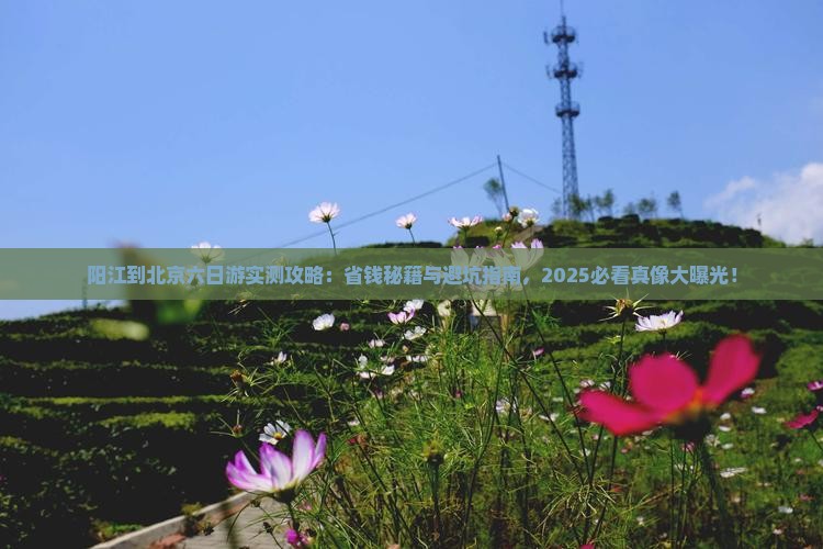 阳江到北京六日游