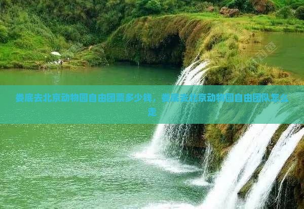 娄底去北京动物园自由团