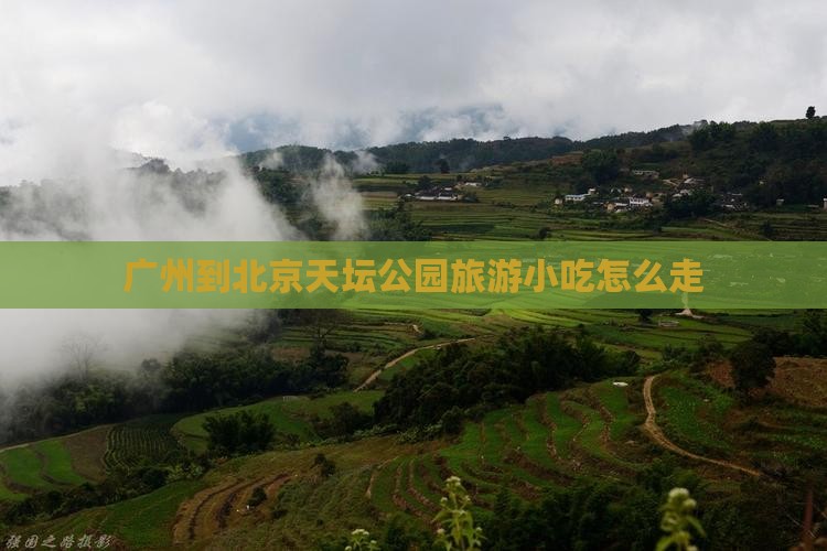 广州到北京天坛公园旅游小吃