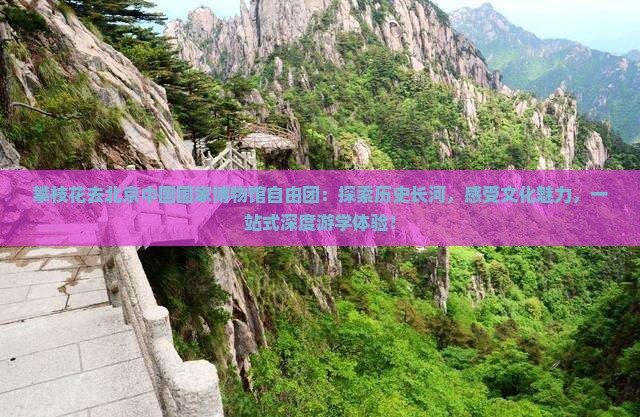 攀枝花去北京中国国家博物馆自由团