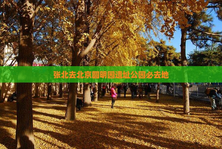 张北去北京圆明园遗址公园必去地