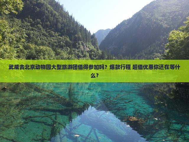 武威去北京动物园大型旅游团