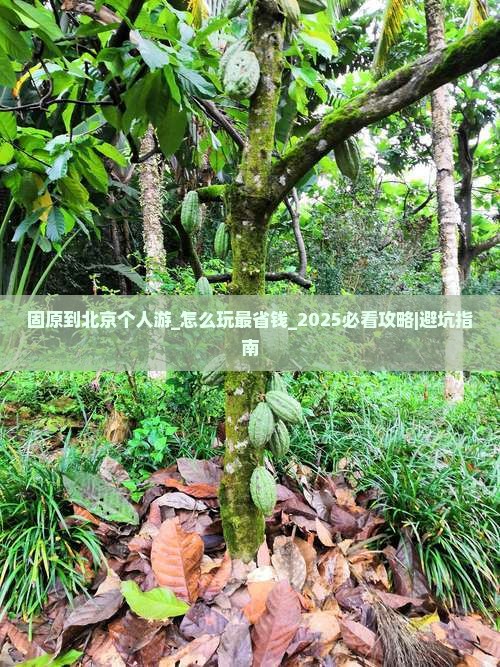 固原到北京个人游