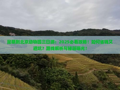 昆明到北京动物园三日游