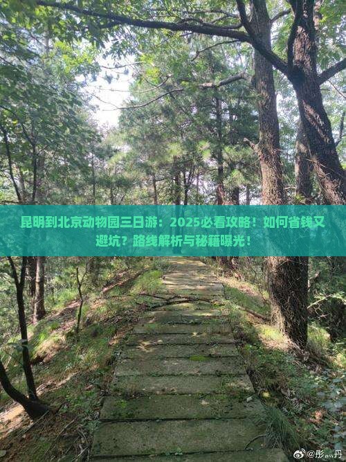 昆明到北京动物园三日游