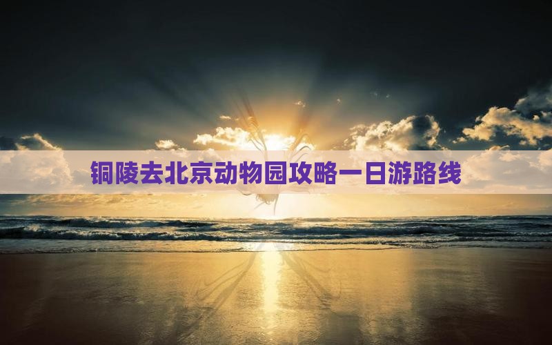 铜陵去北京动物园攻略