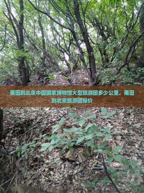 莆田到北京中国国家博物馆大型旅游团