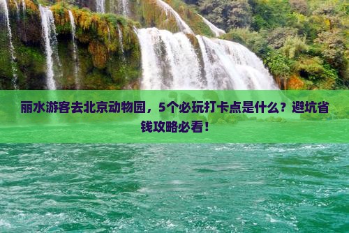 丽水到北京动物园哪里玩