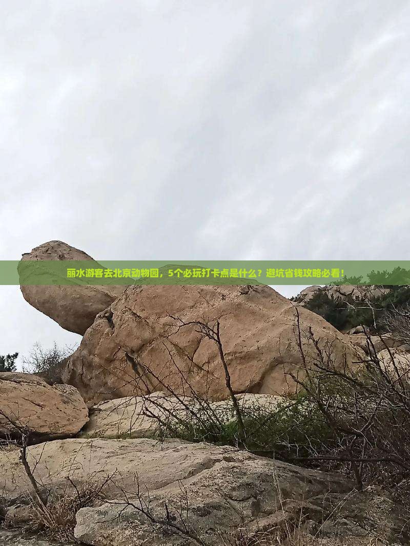 丽水到北京动物园哪里玩