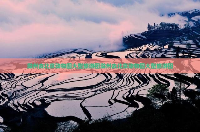 滁州去北京动物园大型旅游团